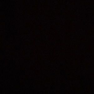 Meet your Posher, Trevon